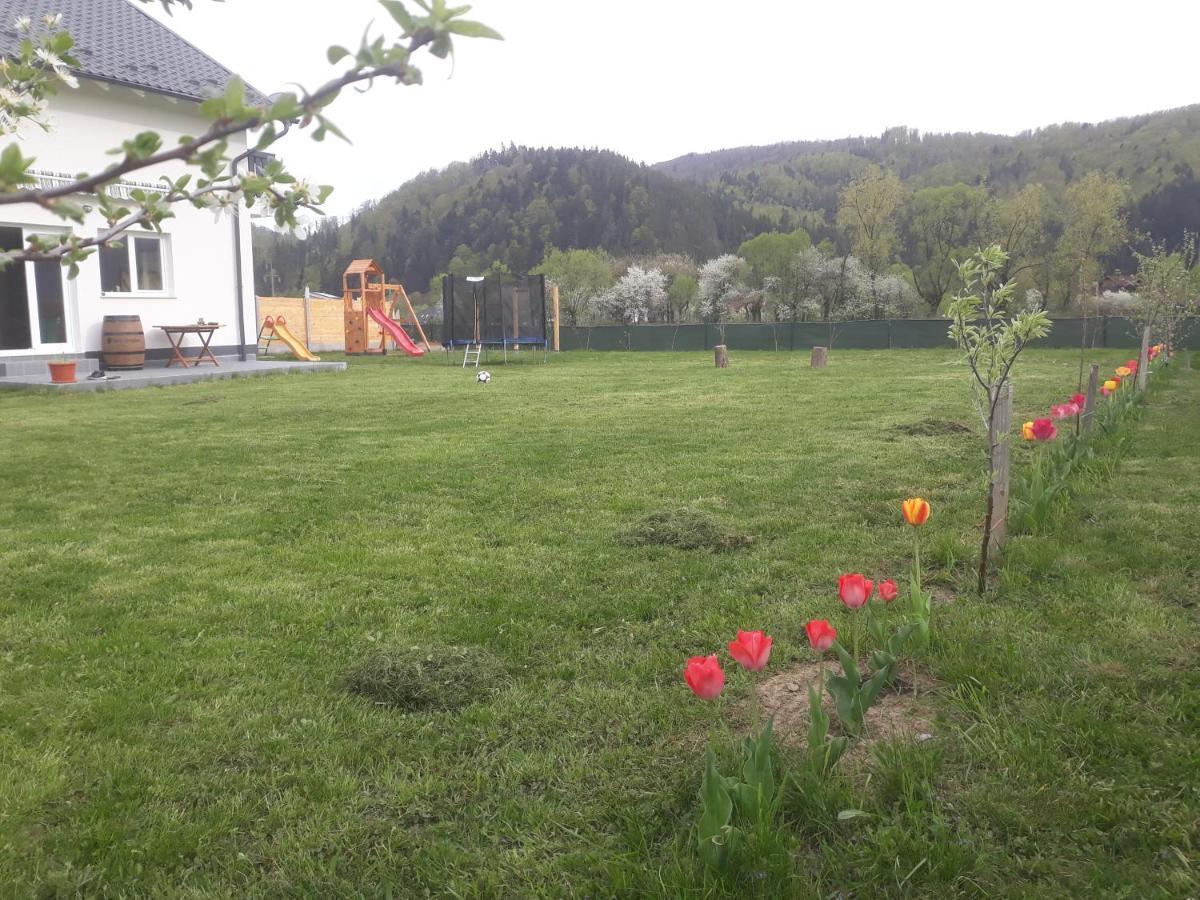 Отель Dom Hills Bucovina Гура-Гуморулуй Экстерьер фото